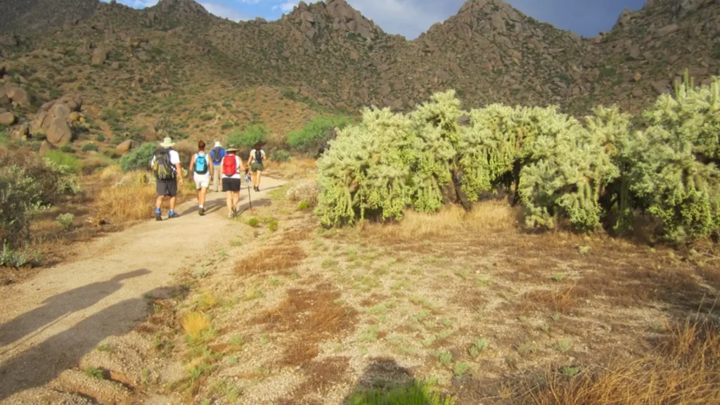 Fountain Hills, AZ